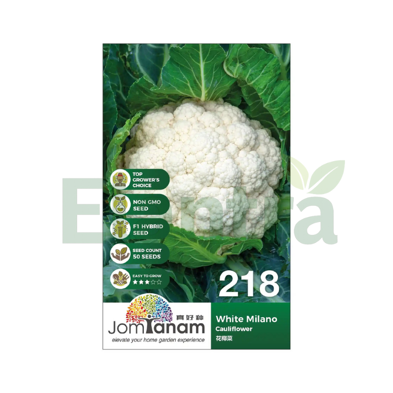218 CAULIFLOWER